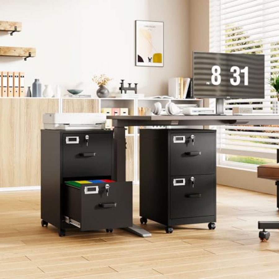 Szafka na dokumenty z 2 szufla – File Folder Hanging recenzja i cena